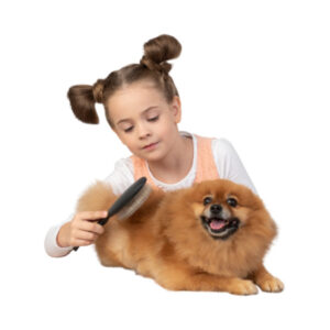 Young child brushing a dog