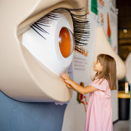 young child looing into a sculpture of an eye